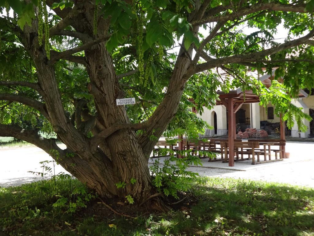 Agriturismo Rivieraoglio Piadena Buitenkant foto