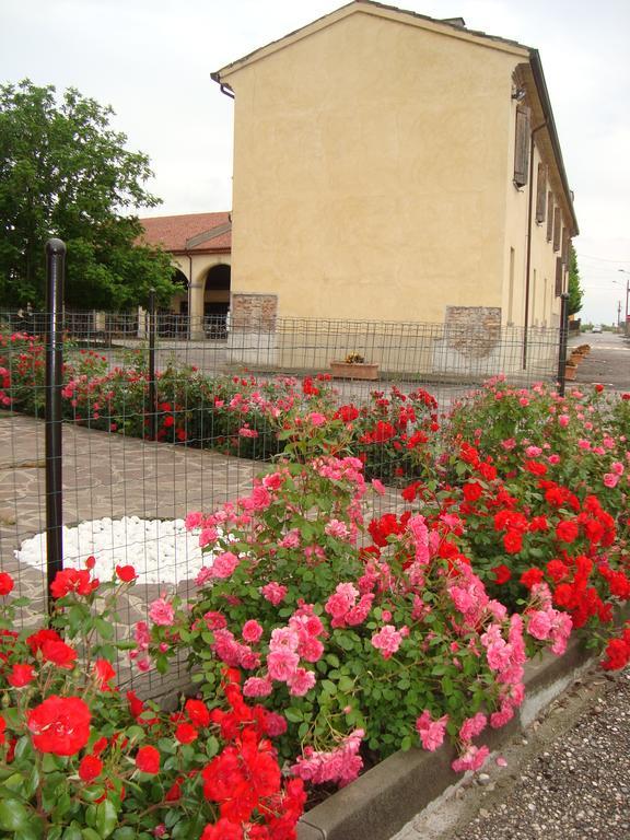Agriturismo Rivieraoglio Piadena Buitenkant foto